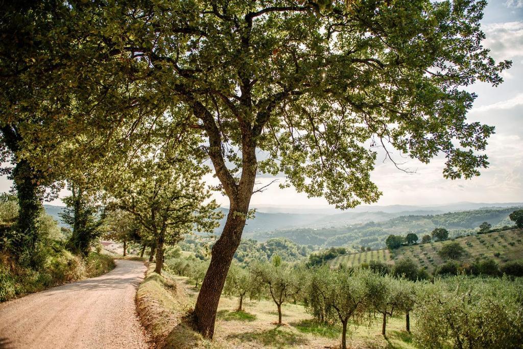 Tenuta Di Forte Sorgnano 구알도카타네오 외부 사진