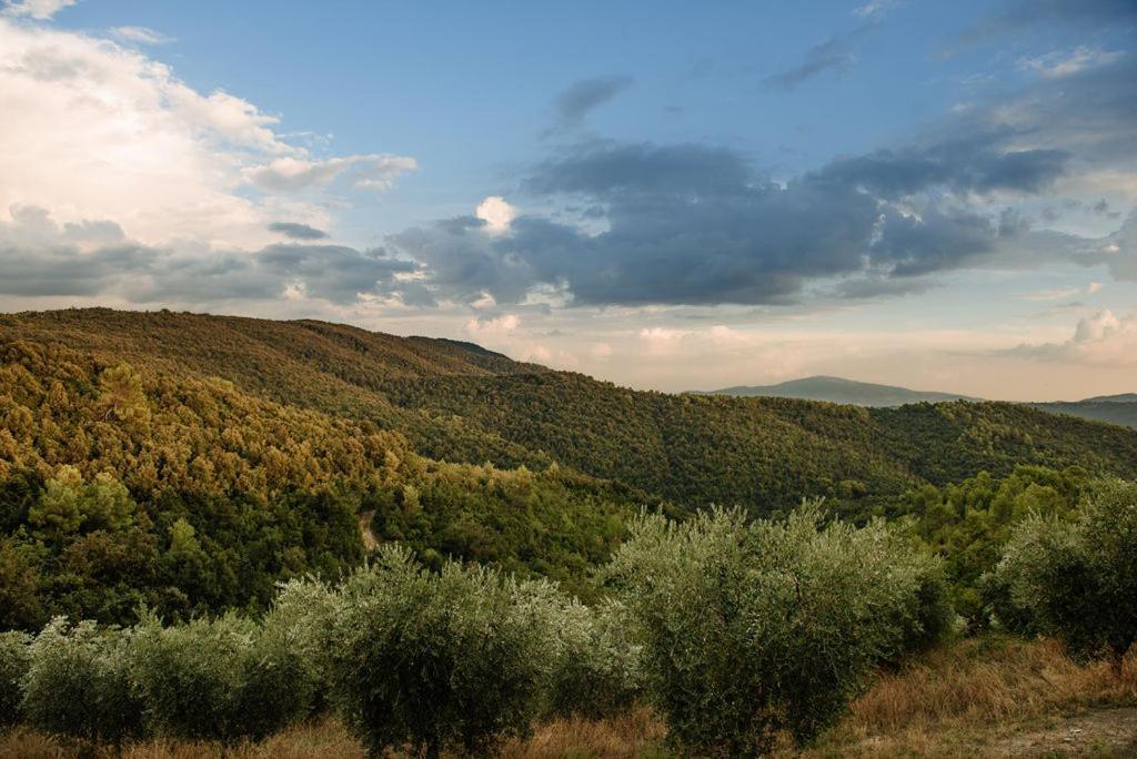 Tenuta Di Forte Sorgnano 구알도카타네오 외부 사진