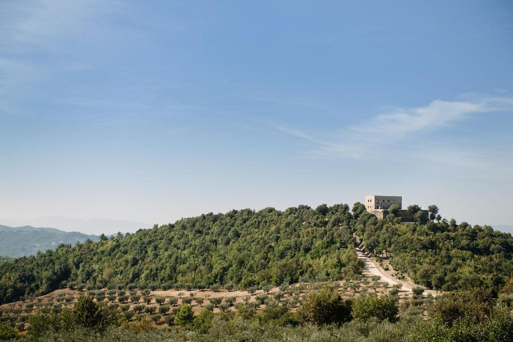 Tenuta Di Forte Sorgnano 구알도카타네오 외부 사진