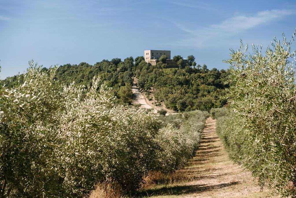 Tenuta Di Forte Sorgnano 구알도카타네오 외부 사진