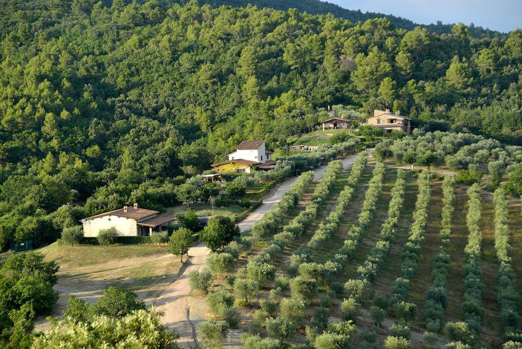Tenuta Di Forte Sorgnano 구알도카타네오 외부 사진